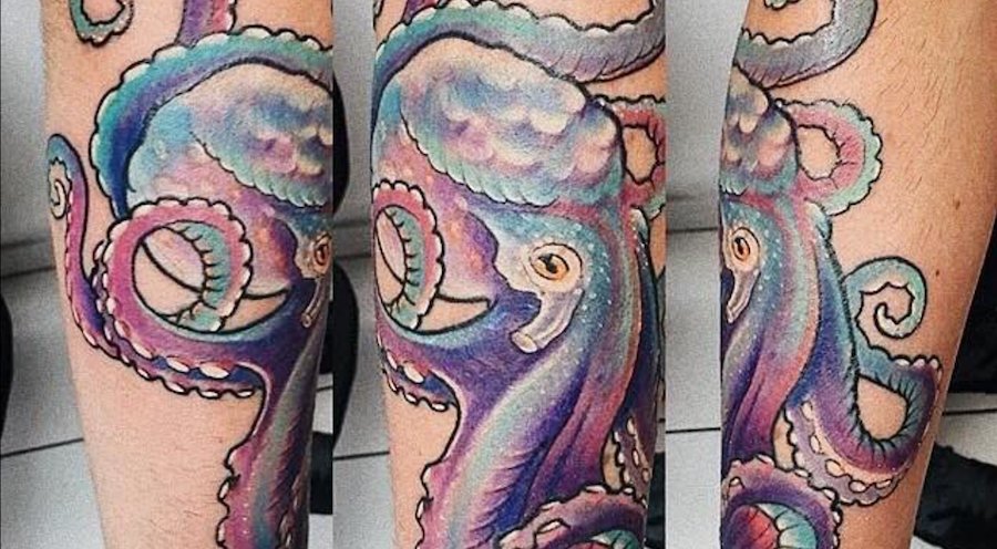 CHOOSE SIZE & COLOUR ▌ Wandkings ▐ Wall Tattoo Sweet Sea Creatures Set Nautical